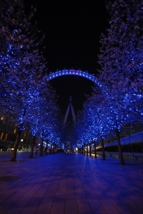 It was already dark by the time we stepped off the London Eye, but the view was no less amazing. (TK Kuo)