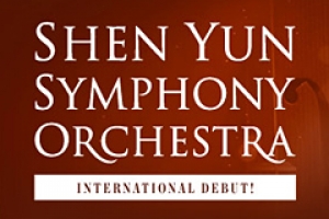 Syso New T