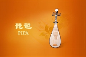 Chinese Instruments Pipa Thumb