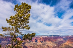 Il Grand Canyon (foto del ballerino Kenji Kobayashi)