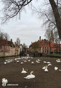 More Bruges. (photo by projectionist Annie Li)