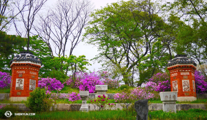 Gardens inside the Gyeongbokgung Palace. (photo by dancer Jun Liang)