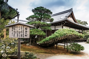 One last photo of Kyoto’s Kinkaku-ji Temple, built following principles of Tang Dynasty architecture. (Photo by Kenji Kobayashi)