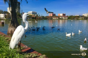 And, before leaving for a 12-show run in Philadelphia, Shen Yun International Company wrapped up its Florida tour, performing in the aptly named city of Lakeland. (Photo by projectionist Annie Li)