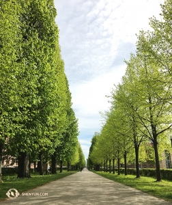 Adjacent to the theater is a long, treelined walkway leading to a beautiful park. The group still has several cities left in Europe, including Germany’s Berlin and Frankfurt. (Photo by projectionist Regina Dong)