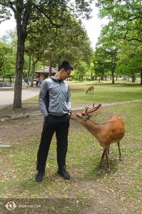 Dancer Daren Chou also made some new friends in a Japanese park.