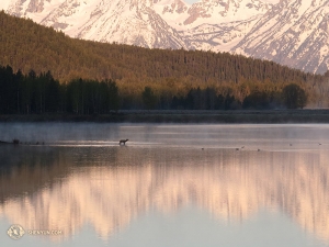 Finally, her fourth national park: Grand Teton, Wyoming. Sunrise at Oxbow Bend. (Photo by Kexin Li)