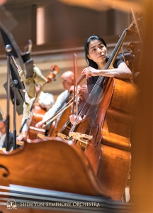 Mighty instruments, mighty musicians. Hui-Ching Chen and the double bass section.