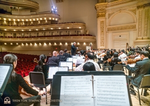 What Carnegie Hall looks like from the point of view of a double bassist.