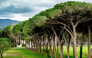 Principal Dancer Kenji Kobayashi also managed to snap this shot of the European countryside. (Photo by Kenji Kobayashi)