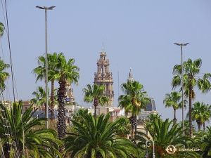 Interestingly, most of the palm trees spotted throughout the area are not actually native to Barcelona. (Photo by Tony Zhao)