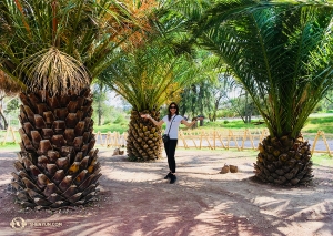 All'Africam Safari Park di Puebla, la cantante Rachel Bastick si trova tra alberi che sembrano enormi ananas