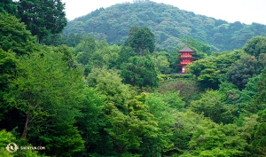 On the way to Sengen Shrine at the base of Mt. Fuji.