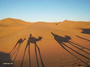 ... on the back of a camel!
