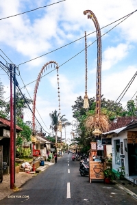 A colorful, vibrant street in Ubud, Bali.
