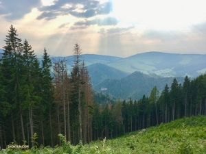 While driving through the Tatras, she stops to enjoy the fresh air and snap this shot.
