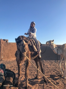Tiffany poses with her new dromedary friend.
