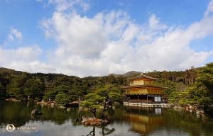 Dancer Jeff Chuang joins the others to capture this view of the Golden Pavilion from a distance. (Photo by Jeff Chuang)