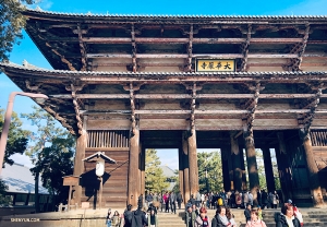 In the city of Nara, a group of dancers begin their visit with Todai-ji or the &ldquo;Eastern Great Temple.&rdquo; (Photo by dancer Steve Feng)