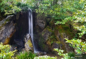 Nearby, a beautiful and gentle cascade.
