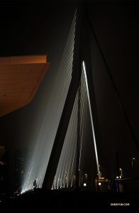 「Erasmusbrug」也被稱為「天鵝」，是鹿特丹的一座主要橋樑。（攝影：舞蹈演員馮岳超）