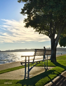 With such a pretty view the bench looks awfully inviting, but we have some exploring to do... (Photo by Regina Dong)
