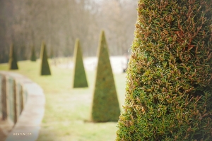 The manicured gardens of Sanssouci Palace. (Photo by Tony Zhao)