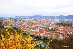 Widok na stare miasto ze szczytu Schlossberg (wzgórza zamkowego).
