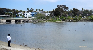 Out in California, Shen Yun International Company tenor Gao Liang shares a snack with the birds at Dana Point Harbor. (Photo by projection engineer Annie Li)
