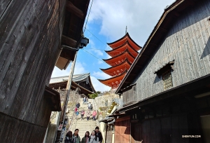 The stairs lead to the Senjokaku Pavilion and a five-tiered Pagoda (Gojunoto) that was built in 1407.

(Photo by clarinetist Yevgeniy Reznik)