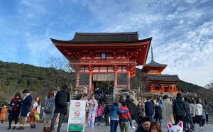 The New Year calls for festive clothing and kimono-sporting locals in Kyoto are complying.

(Photo by Angelia Wang)