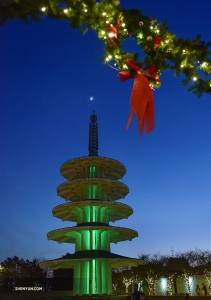 After a New Year's Eve matinee performance, performers check out San Francisco's Japantown.

(Photo by Johnny Chao)