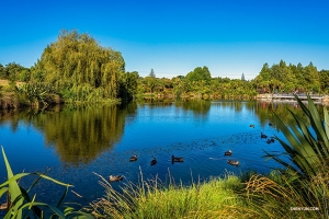 This lush botanical garden was converted from farmland.

(Photo by Tony Xue)