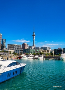 Some of the performers take a stroll down to the popular Queens Wharf in Auckland to take a look around.

(Photo by Tony Xue)