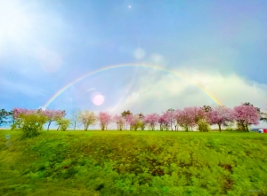 As they travel from one city to the next, the performers know that hours spent on the bus sometimes add up. But the sudden sight of a brilliant rainbow brings a burst of color and excitement to their ride.