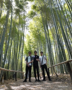 在京都，演員們探訪這座擁有兩千多座佛寺與神社的古都：從高台寺的竹林幽徑……
